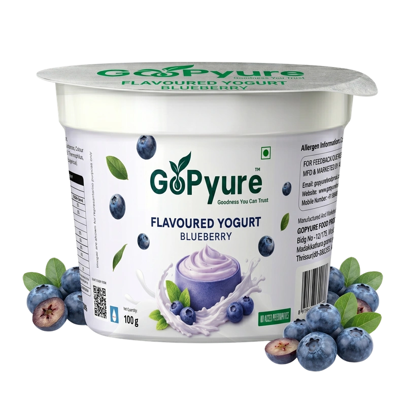 Blueberry Yogurt
